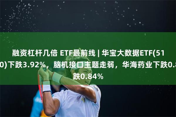 融资杠杆几倍 ETF最前线 | 华宝大数据ETF(516700)下跌3.92%，脑机接口主题走弱，华海药业下跌0.84%