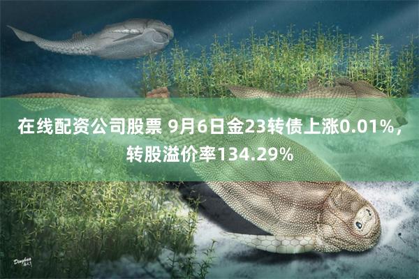 在线配资公司股票 9月6日金23转债上涨0.01%，转股溢价率134.29%