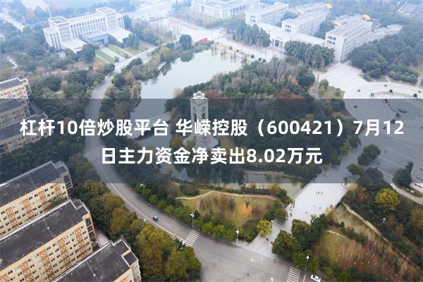 杠杆10倍炒股平台 华嵘控股（600421）7月12日主力资金净卖出8.02万元