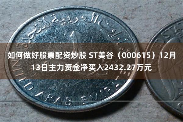 如何做好股票配资炒股 ST美谷（000615）12月13日主力资金净买入2432.27万元