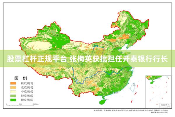 股票杠杆正规平台 张梅英获批担任开泰银行行长