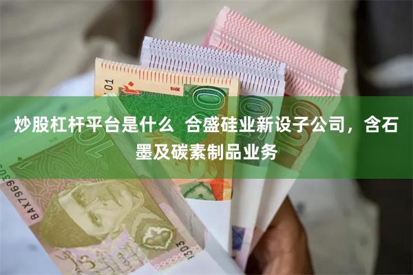 炒股杠杆平台是什么  合盛硅业新设子公司，含石墨及碳素制品业务