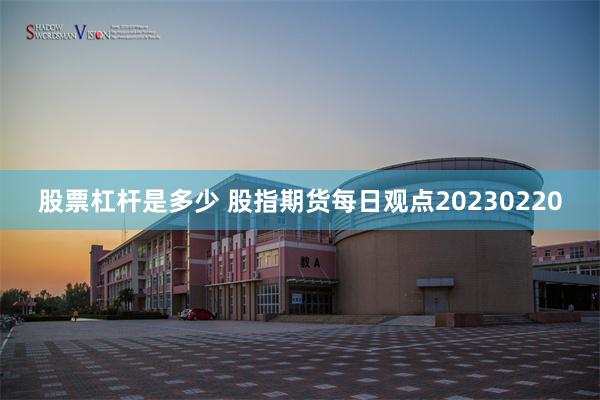 股票杠杆是多少 股指期货每日观点20230220