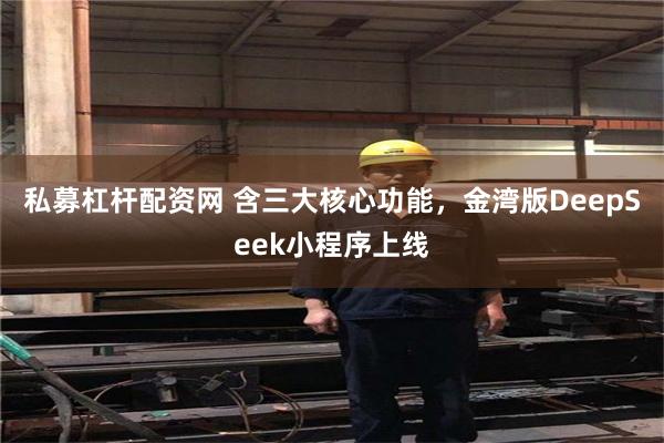 私募杠杆配资网 含三大核心功能，金湾版DeepSeek小程序上线