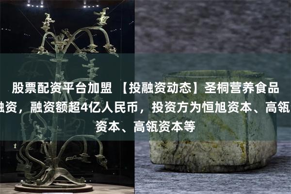 股票配资平台加盟 【投融资动态】圣桐营养食品B+轮融资，融资额超4亿人民币，投资方为恒旭资本、高瓴资本等
